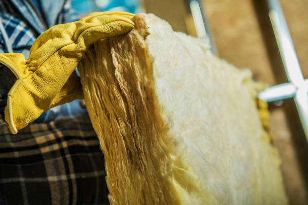 Best Geographic-Specific Insulation Services in Fairview Park, IN